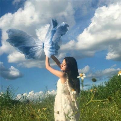 洋葱乱报